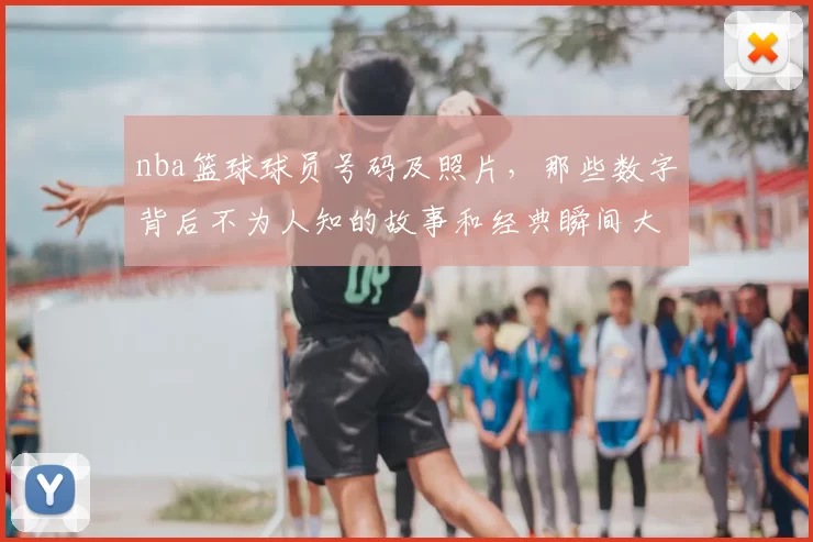 nba篮球球员号码及照片,那些数字背后不为人知的故事和经典瞬间大揭秘