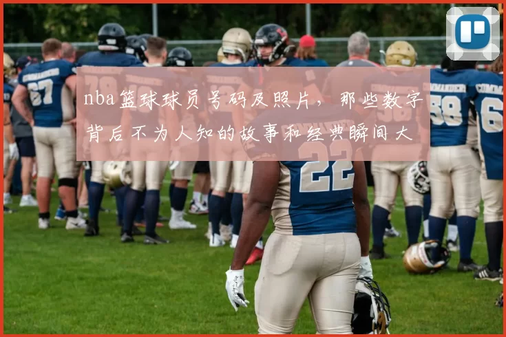 nba篮球球员号码及照片，那些数字背后不为人知的故事和经典瞬间大揭秘